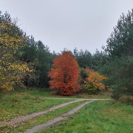 Agroturystyka Lesna Babka Jastrowie Eksteriør bilde